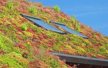 Little Shelford living roof systems