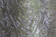 Little Shelford fibreglass roof work